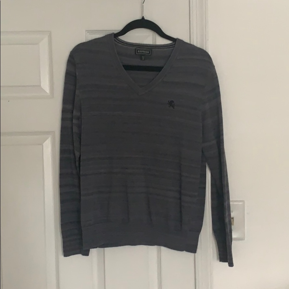 Express v-neck sweater